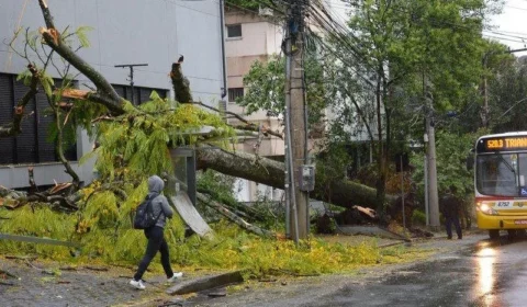 INMET emite alerta de vendaval para estados; veja onde há risco de ventos fortes