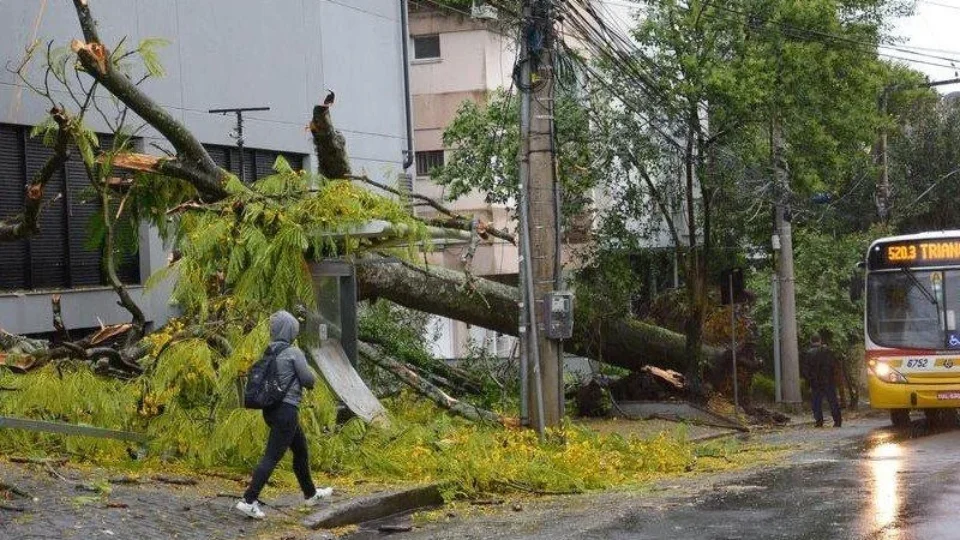 INMET emite alerta de vendaval para estados; veja onde há risco de ventos fortes