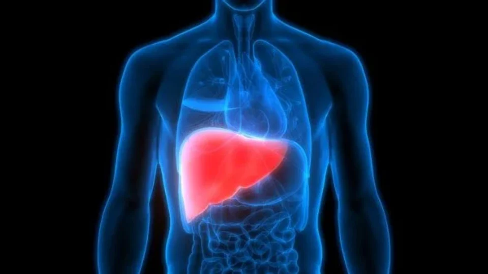 Casos de hepatite A em São Paulo acendem alerta; especialistas apontam ligação com falta de saneamento