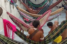 MPF investiga deterioração da saúde de Yanomamis com leishmaniose em Roraima