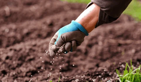 Fertilizantes pressionam custos e pioram relação de troca para o produtor
