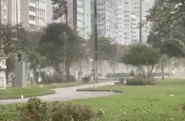 Temporal derruba mais de 70 árvores e deixa dez pessoas desalojadas no interior de SP