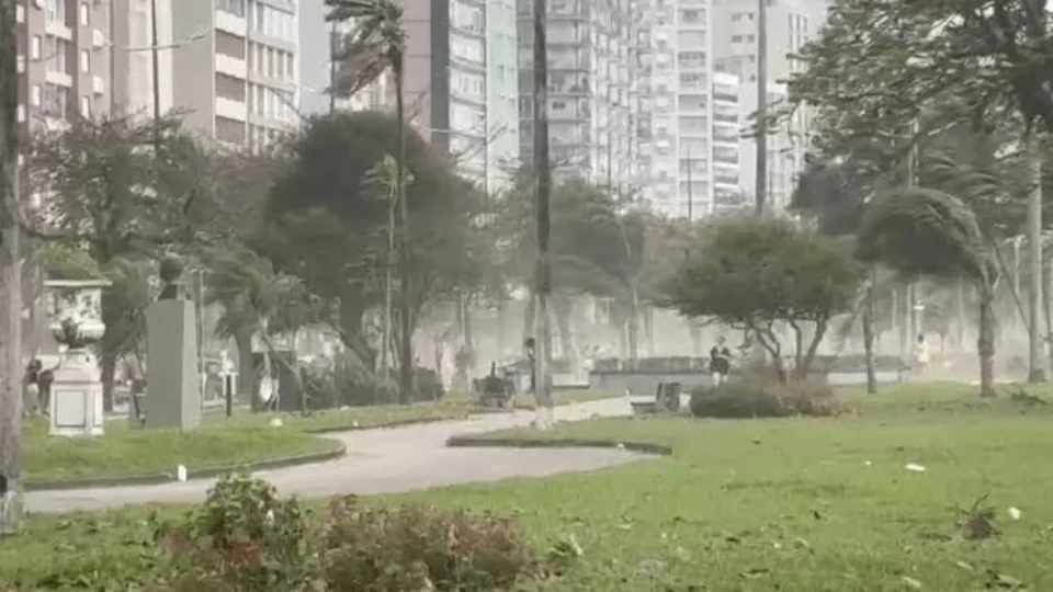 Temporal derruba mais de 70 árvores e deixa dez pessoas desalojadas no interior de SP