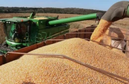 Conab amplia produtos e público do Venda em Balcão para apoiar criadores