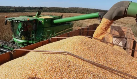 Conab amplia produtos e público do Venda em Balcão para apoiar criadores