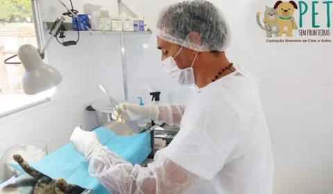 BH abre cadastro para castrações gratuitas de cães e gatos