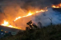 Incêndio na Serra do Curral mobiliza bombeiros e acende alerta em Belo Horizonte