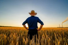 DITR 2026 ganha plataforma online e facilita declaração do imposto sobre imóvel rural