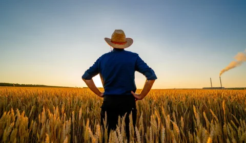 DITR 2026 ganha plataforma online e facilita declaração do imposto sobre imóvel rural