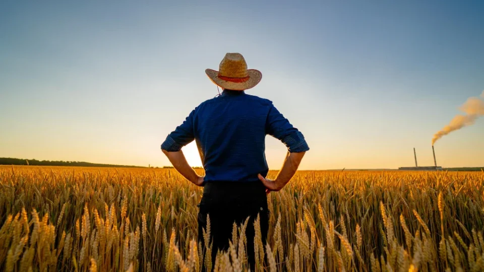 DITR 2026 ganha plataforma online e facilita declaração do imposto sobre imóvel rural