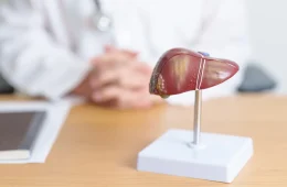Fígado: gordura afeta 30% e preocupa médicos no Brasil