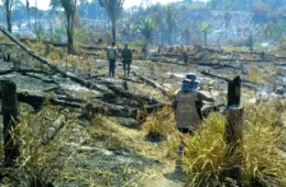 Três cidades do Acre entram no ranking das que mais desmataram na Amazônia em julho