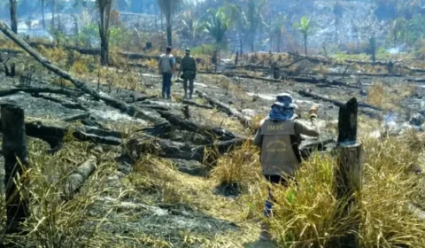 Três cidades do Acre entram no ranking das que mais desmataram na Amazônia em julho