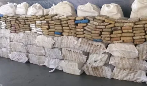 Operação na Amazônia apreende quase 2,5 mil m³ de madeira e interdita garimpos ilegais; prejuízo chega a R$ 19 milhões