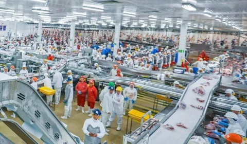 JBS registra prejuízo de US$ 102 milhões no 2º trimestre; BTG tem lucro de R$ 5,1 bilhões