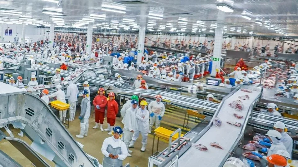 JBS registra prejuízo de US$ 102 milhões no 2º trimestre; BTG tem lucro de R$ 5,1 bilhões
