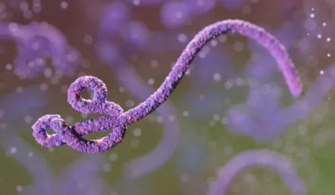 Surto de ebola no Congo se torna o segundo maior da história e preocupa autoridades internacionais