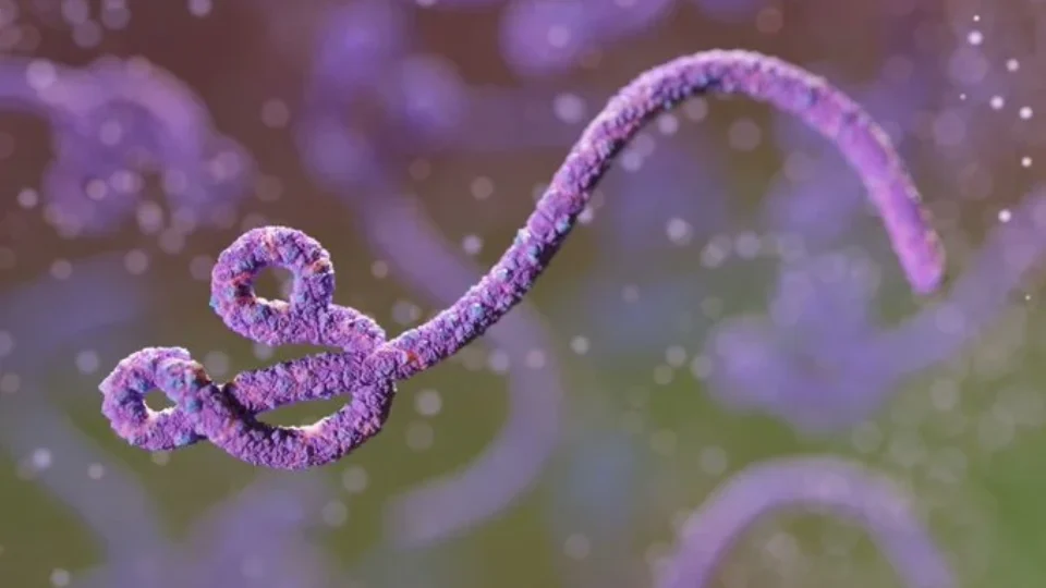 Surto de ebola no Congo se torna o segundo maior da história e preocupa autoridades internacionais