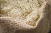 Produção de arroz deve atender ao mercado interno mesmo com redução da área plantada