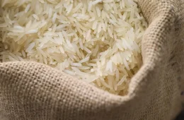 Produção de arroz deve atender ao mercado interno mesmo com redução da área plantada