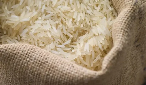 Produção de arroz deve atender ao mercado interno mesmo com redução da área plantada