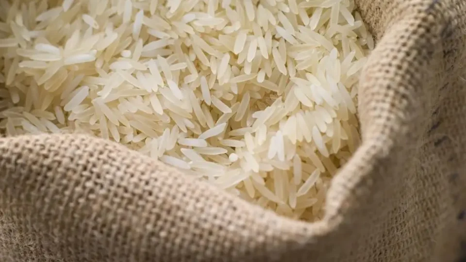 Produção de arroz deve atender ao mercado interno mesmo com redução da área plantada