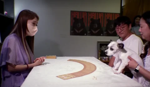 Donos recorrem ao tarô para tentar descobrir o que seus pets estão pensando na Coreia do Sul