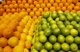 Conab terá até R$ 10 milhões para apoiar comercialização da laranja