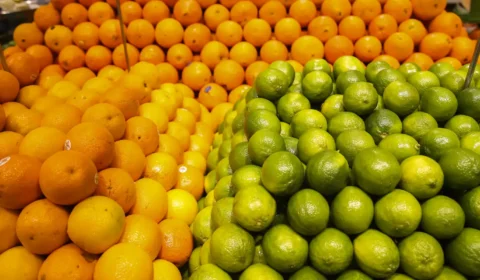 Conab terá até R$ 10 milhões para apoiar comercialização da laranja
