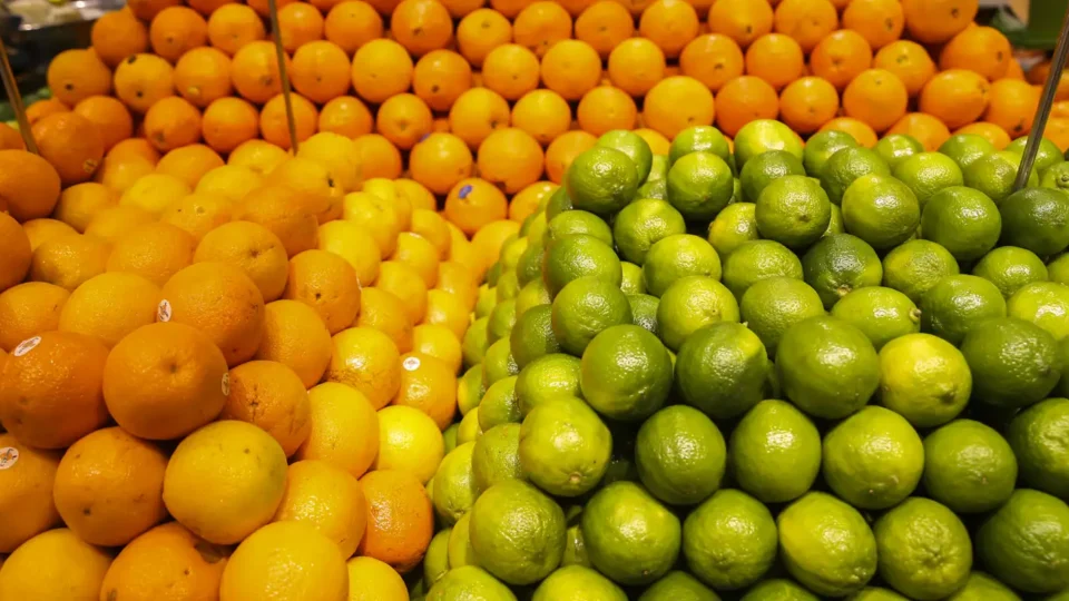 Conab terá até R$ 10 milhões para apoiar comercialização da laranja