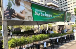 Campo Grande distribui 10 mil mudas de árvores frutíferas de graça neste sábado