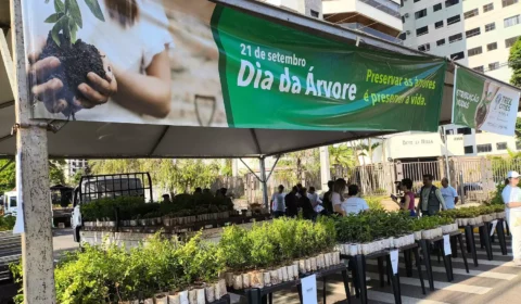 Campo Grande distribui 10 mil mudas de árvores frutíferas de graça neste sábado