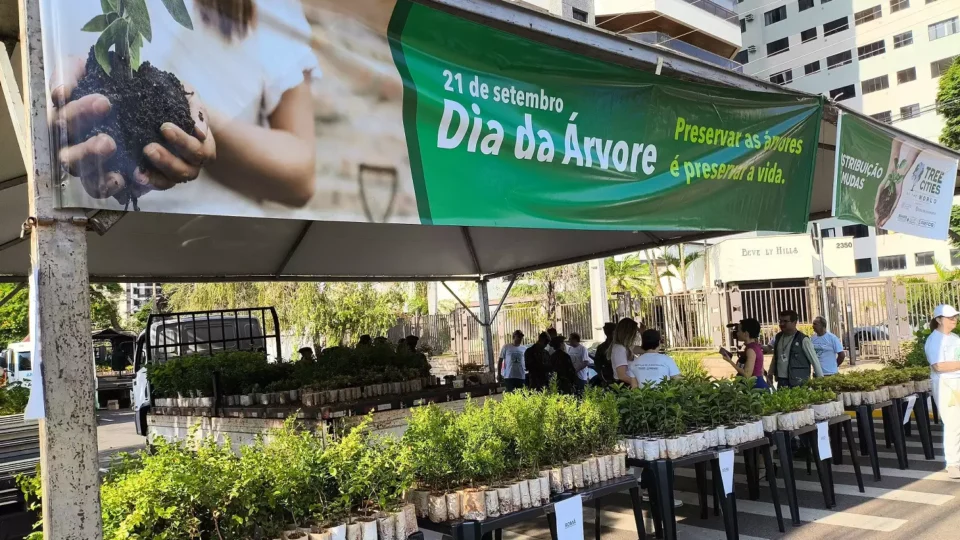 Campo Grande distribui 10 mil mudas de árvores frutíferas de graça neste sábado