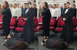 Advogado autista se forma ao lado de cão de assistência que o acompanha em momentos de ansiedade