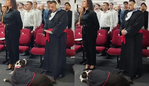 Advogado autista se forma ao lado de cão de assistência que o acompanha em momentos de ansiedade