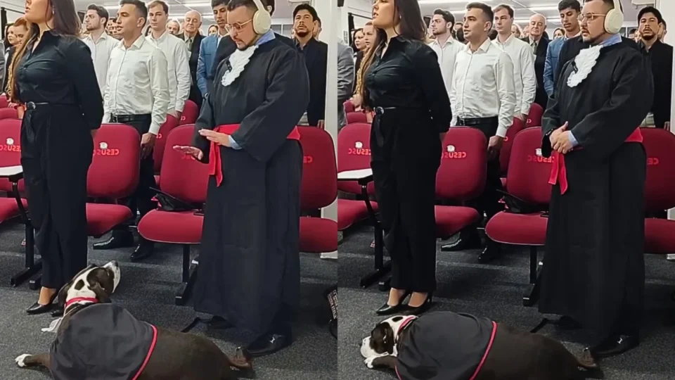 Advogado autista se forma ao lado de cão de assistência que o acompanha em momentos de ansiedade