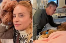 “Sem chão”: Angélica revela diagnóstico preocupante de cachorra e emociona seguidores