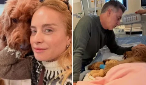 “Sem chão”: Angélica revela diagnóstico preocupante de cachorra e emociona seguidores