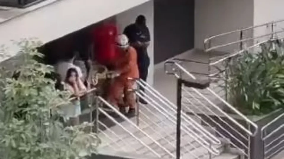 Filha é presa após esfaquear e matar a própria mãe no Recreio, no Rio