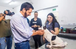 São Paulo proíbe acorrentamento de cães e gatos; veja o que muda