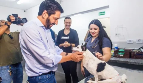 São Paulo proíbe acorrentamento de cães e gatos; veja o que muda