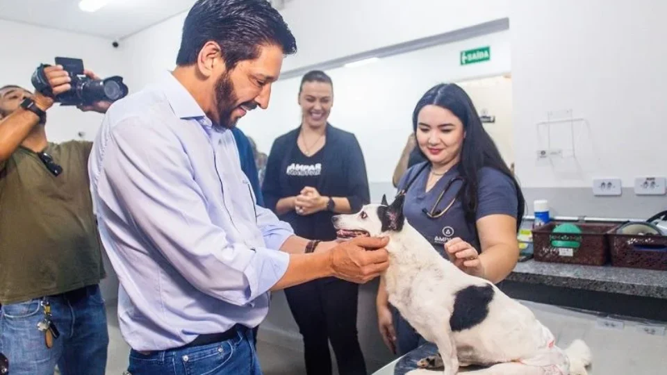 São Paulo proíbe acorrentamento de cães e gatos; veja o que muda