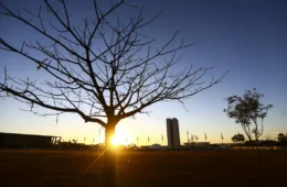 Distrito Federal enfrenta calor e baixa umidade, com índice podendo chegar a 12%