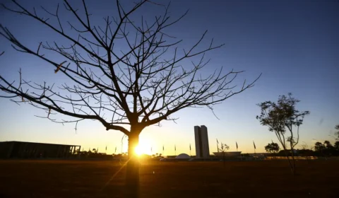 Distrito Federal enfrenta calor e baixa umidade, com índice podendo chegar a 12%