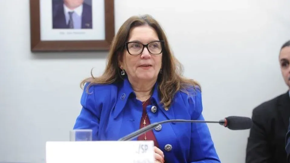 Flávio Dino determina que TRE-DF investigue possível propaganda eleitoral ligada a Bia Kicis