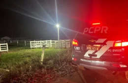 Megaoperação mira quadrilha suspeita de furtar mais de 2 mil cabeças de gado no Paraná