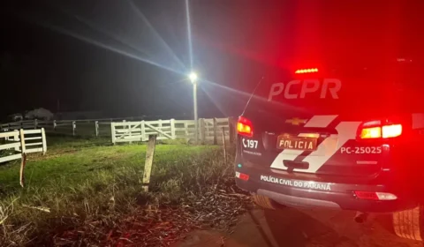 Megaoperação mira quadrilha suspeita de furtar mais de 2 mil cabeças de gado no Paraná