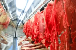 União Europeia deve voltar a comprar carne bovina do Brasil em 2027, projeta Abiec