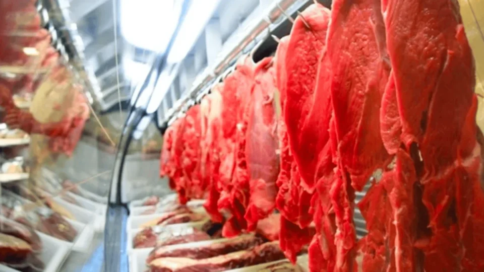 União Europeia deve voltar a comprar carne bovina do Brasil em 2027, projeta Abiec