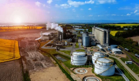 Agroindústria recua 2,9% em julho e acumula queda no ano; insumos despencam 20,8%